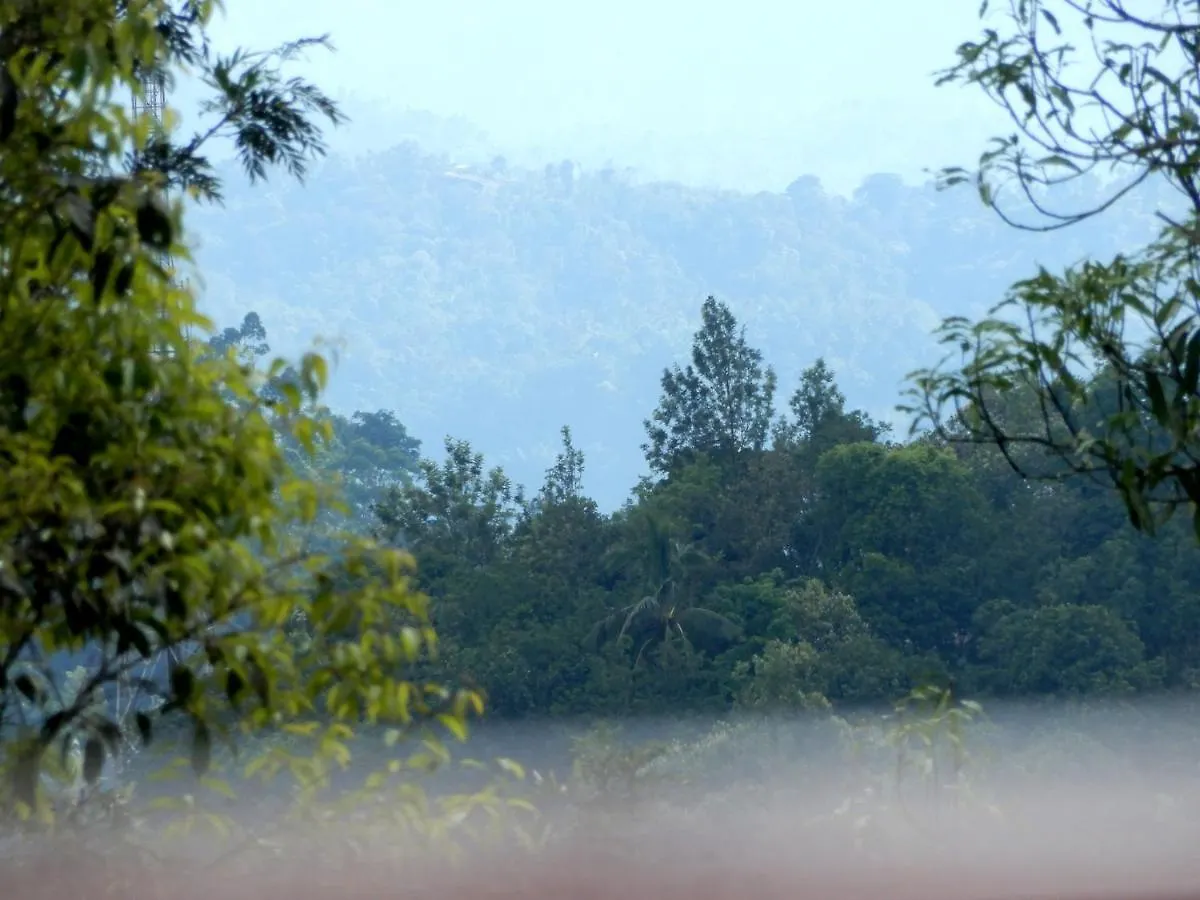 Drizzle Valley Cottage Munnar Homestay